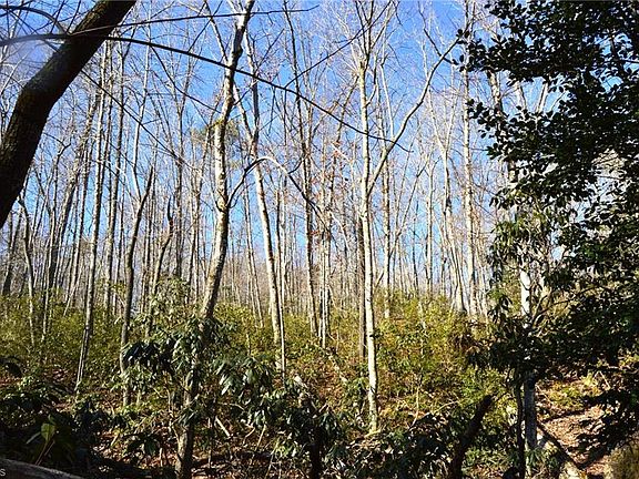 3rd image of 1010-1372 Hanging Rock Park Rd