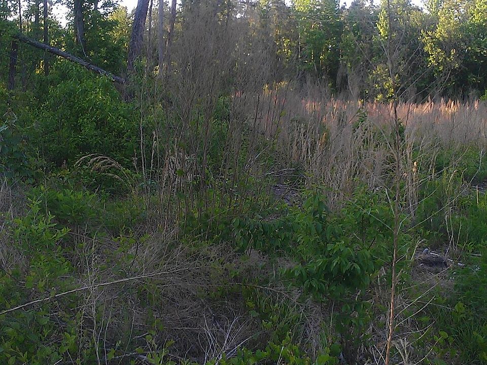 2nd image of 0 Cobb Road