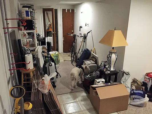 Rented by Joe Gotham LTD | media 20