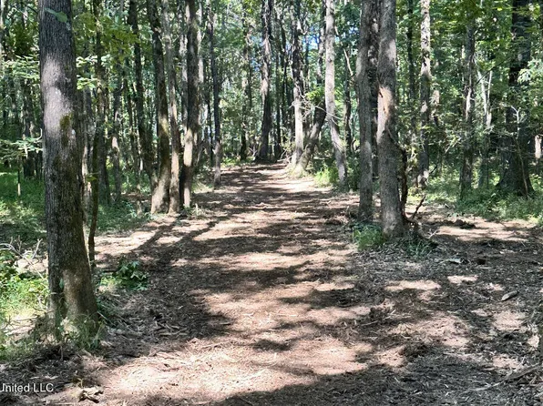 Tate Marshall Rd, Coldwater, MS 38618