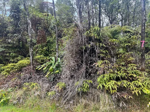 Ala Ohia St Lot 53-B-676, Volcano, HI 96785