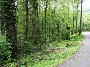 Lowr Gap Rd, Gatlinburg, TN 37738