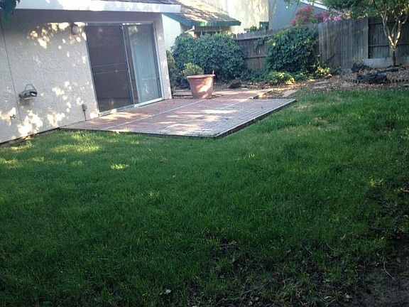 Backyard with fruit trees