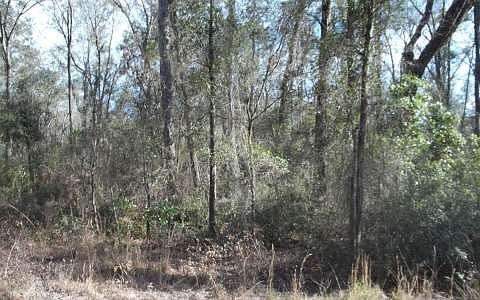 2nd image of 2347 SW Junction Rd