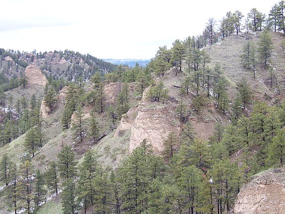 4th image of 12914 Highway 2 #71