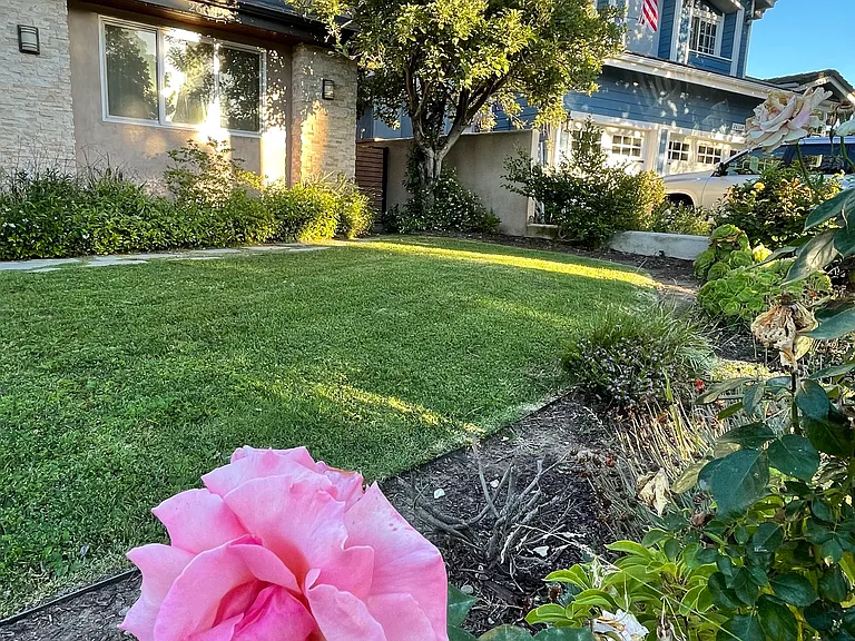 26330 Delos Dr — Photo 30