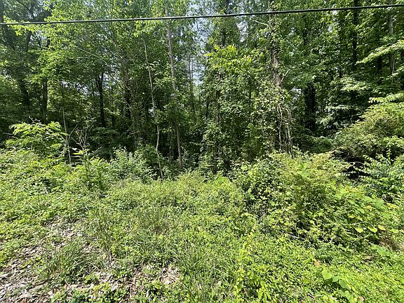 3rd image of LOT 3 Tonja Ln