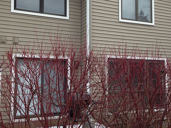 2nd image of 1350 Patricia Ave