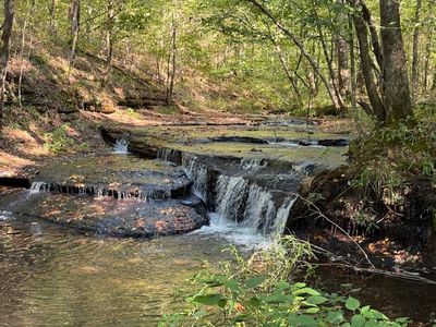 535 Goodman Branch Rd, Hohenwald, TN, 38462