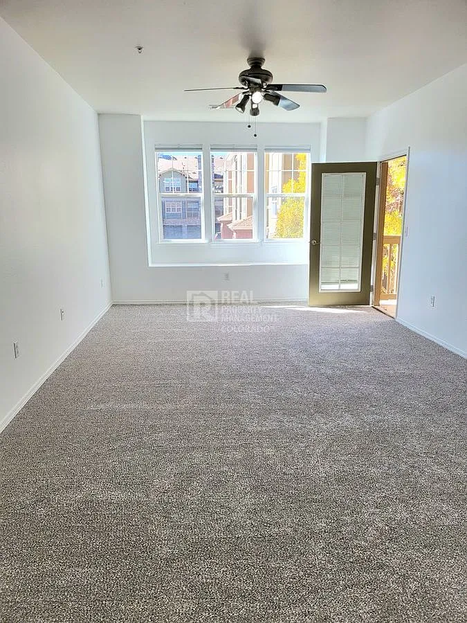 Stunning 1 bedroom, 1 bathroom Condo — Photo 3