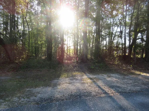 0 Deloris St, Reidsville, GA 30453
