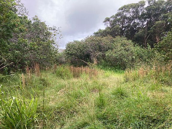 4th image of 95-3970 Halemauna Rd