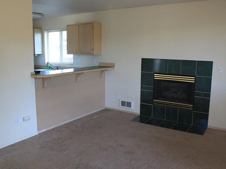 503 E River Ave — Photo 12
