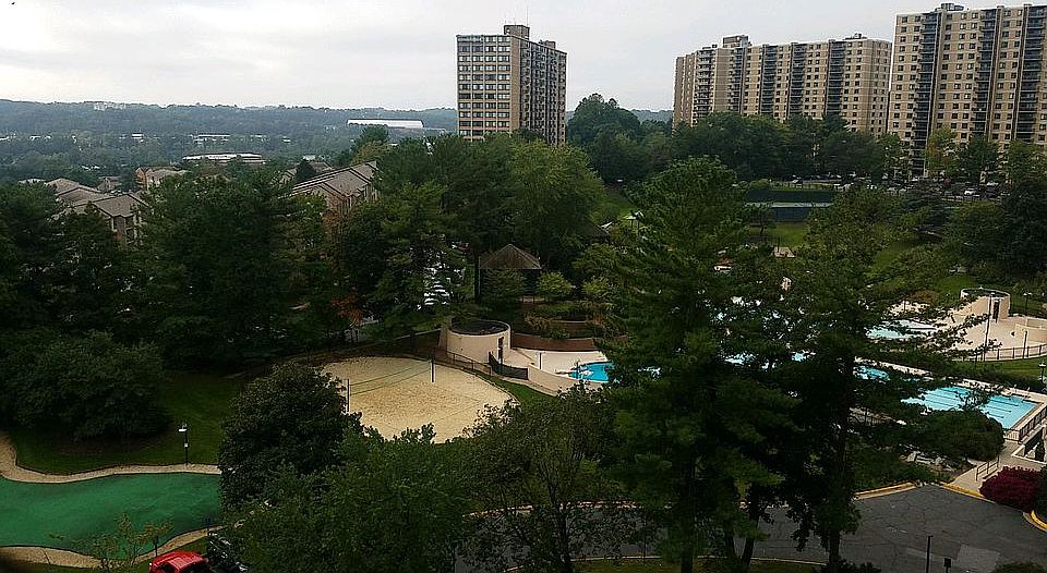 view of pool putting green and volleyball court