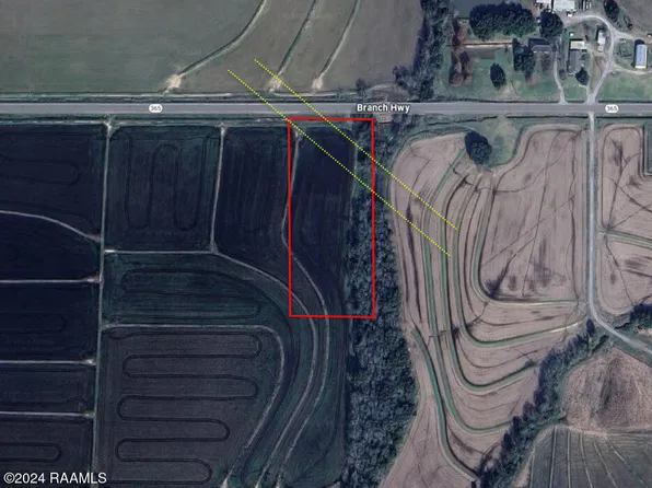 0 Branch Hwy Lot 10, Branch, LA 70516