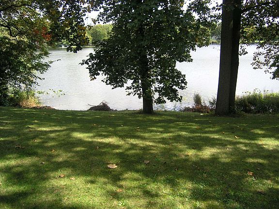 View of lake for Back Yard