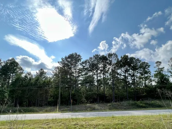 PARCEL 2 State Highway 33, Ashford, AL 36312