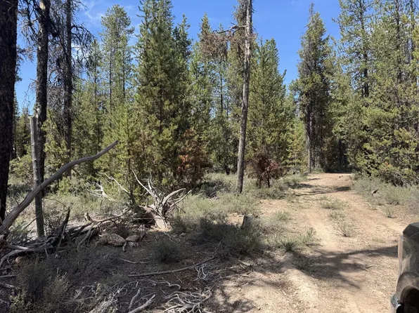 Bear Flat Rd, Chemult, OR 97731