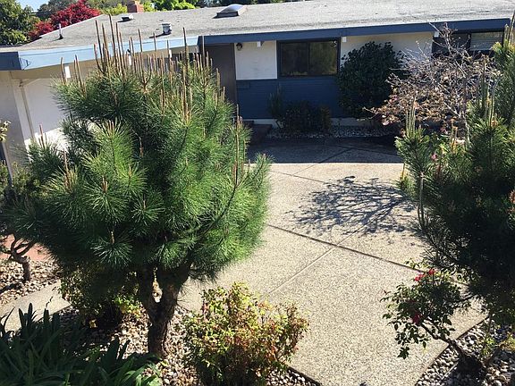 Front yard