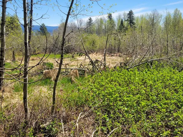 1602 Bear Trail Loop, Cascade, ID 83611