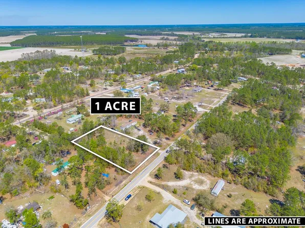 5073 Buck Trl, Blackshear, GA 31516