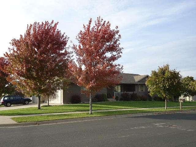 1st image of 1002 Pioneer Dr