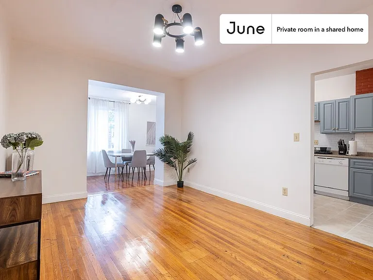 41 Egremont Rd #D — Photo 9