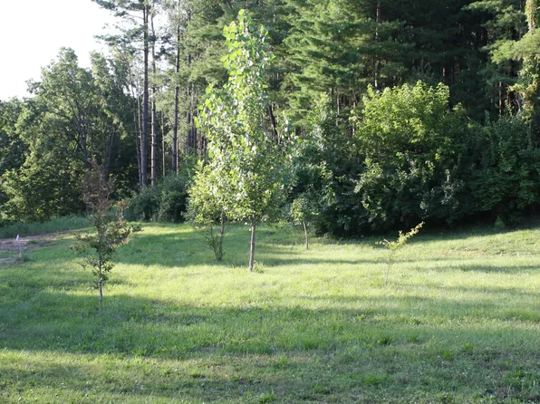 LOT 4 Pine St, Muscatine, IA 52761