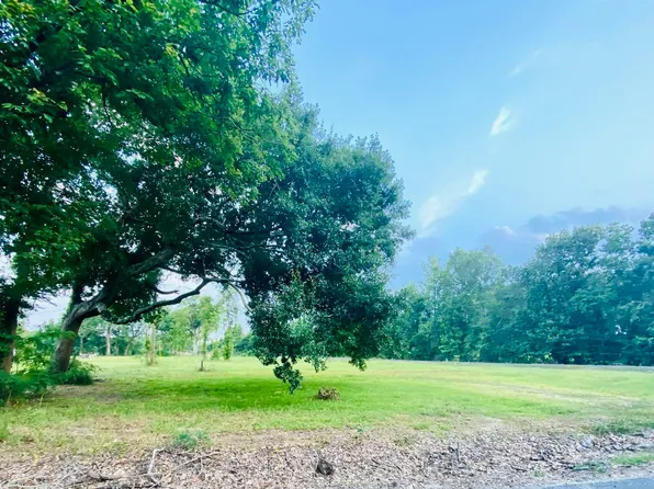 LOT A1 Miller Rd #F, Prairieville, LA 70769