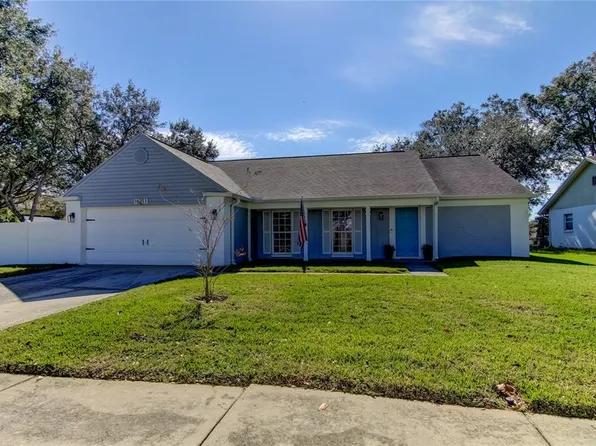 16211 COUNTRY CROSSING DRIVE, TAMPA, FL 33624