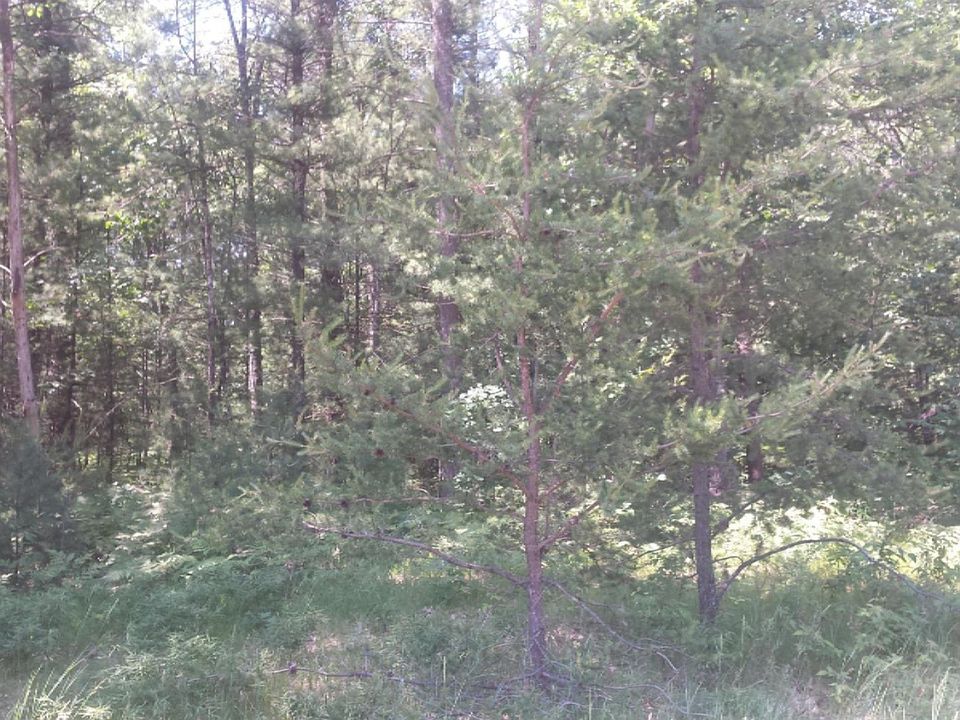 2nd image of LOT 170 Danc Dr