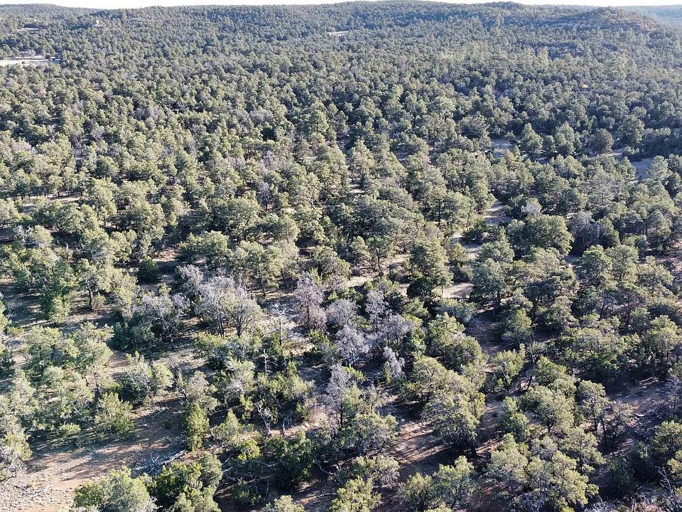 1st image of Clements Loop