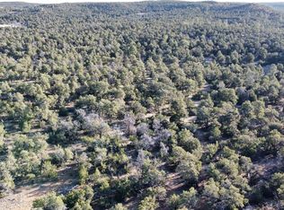 Clements Loop, Pinehill, NM 87357