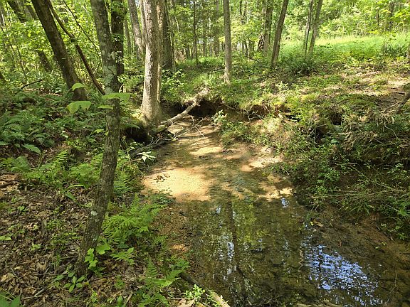 4th image of 0 Webb Rd Lot 1