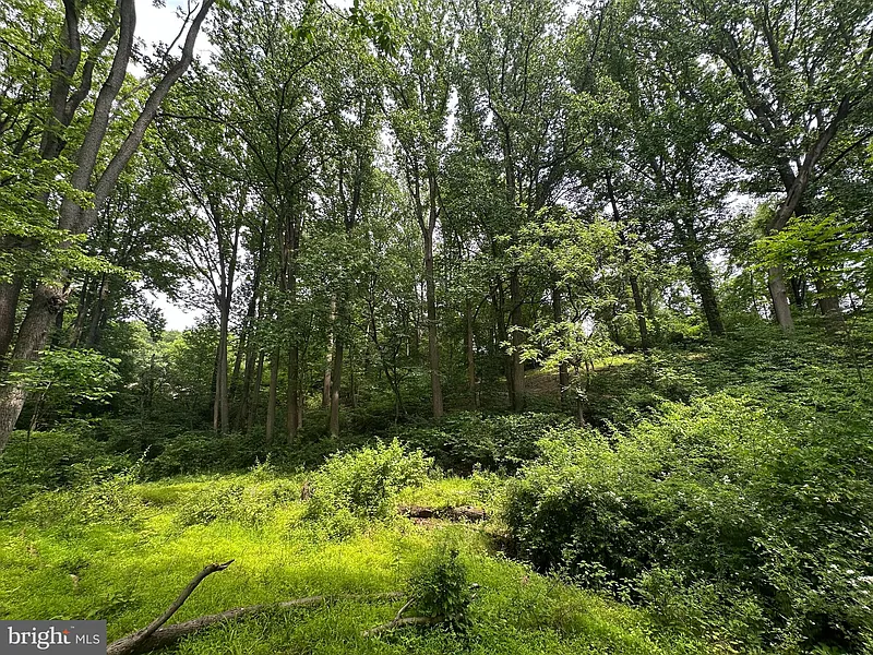 Thumbnail 18