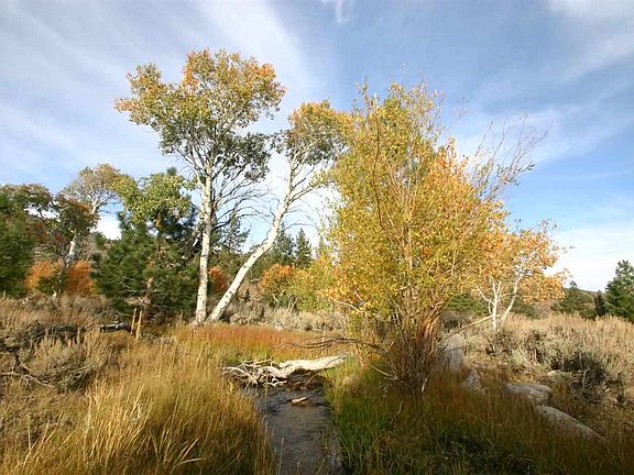 5th image of 86574 Highway 395