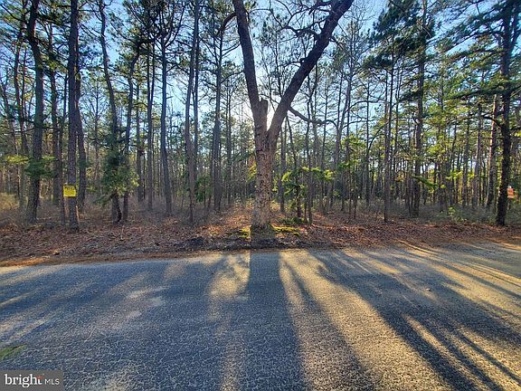 5th image of 0 Mount Misery Rd