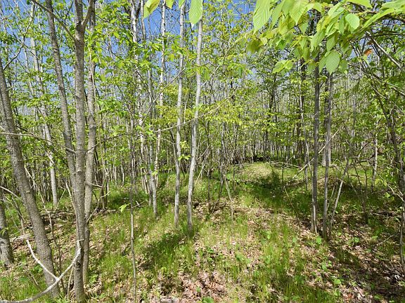 5th image of LOT 10 Fremsted Rd