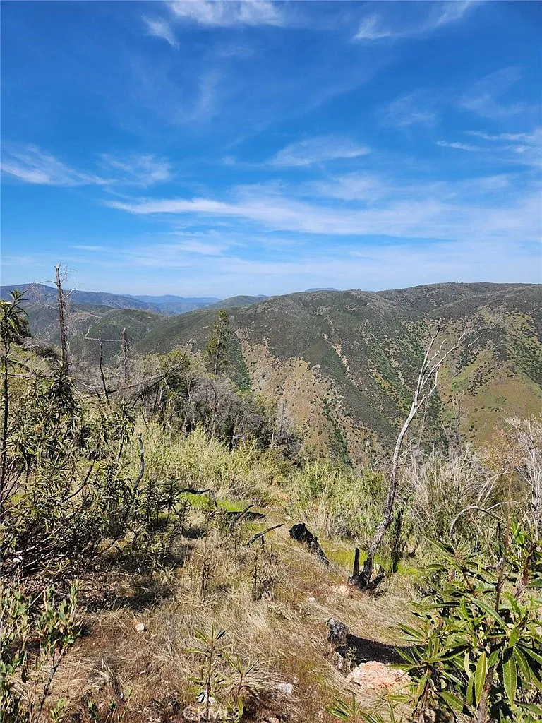 0 Ponderosa Way Buffalo Gulch photo 1