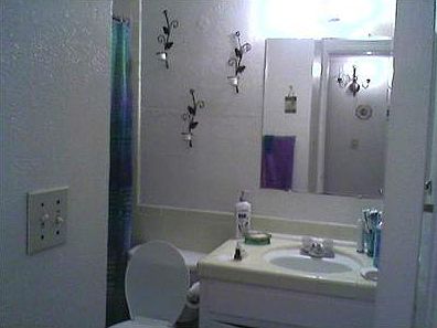 5th image of 3348 Dungarvan Dr