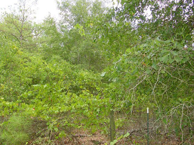 2nd image of 525 S Epps Rd