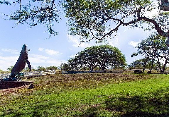 5th image of Haleakala View Pl Lot 221