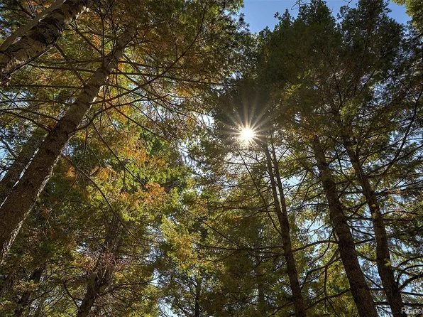 13492 Shiloh Drive, Conifer, CO 80433