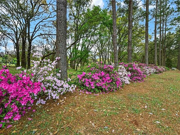 3rd image of 11075B Straub Rd