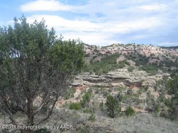 15001 Canyon Pass Rd, Amarillo, TX 79118