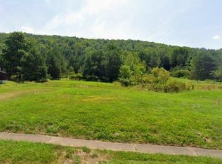 702 E Mill St, Port Allegany, PA 16743