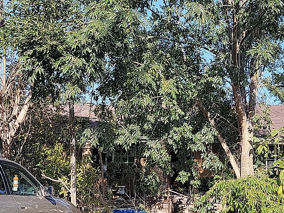 3rd image of 548 Poinsettia Ave