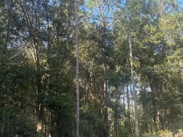 0 Stardust Ln Lot 7, Melrose, FL 32666