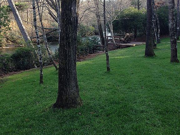 Backyard overlooking river