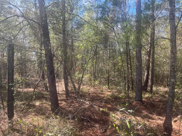 Tbd Martha Drive, Interlachen, FL 32148